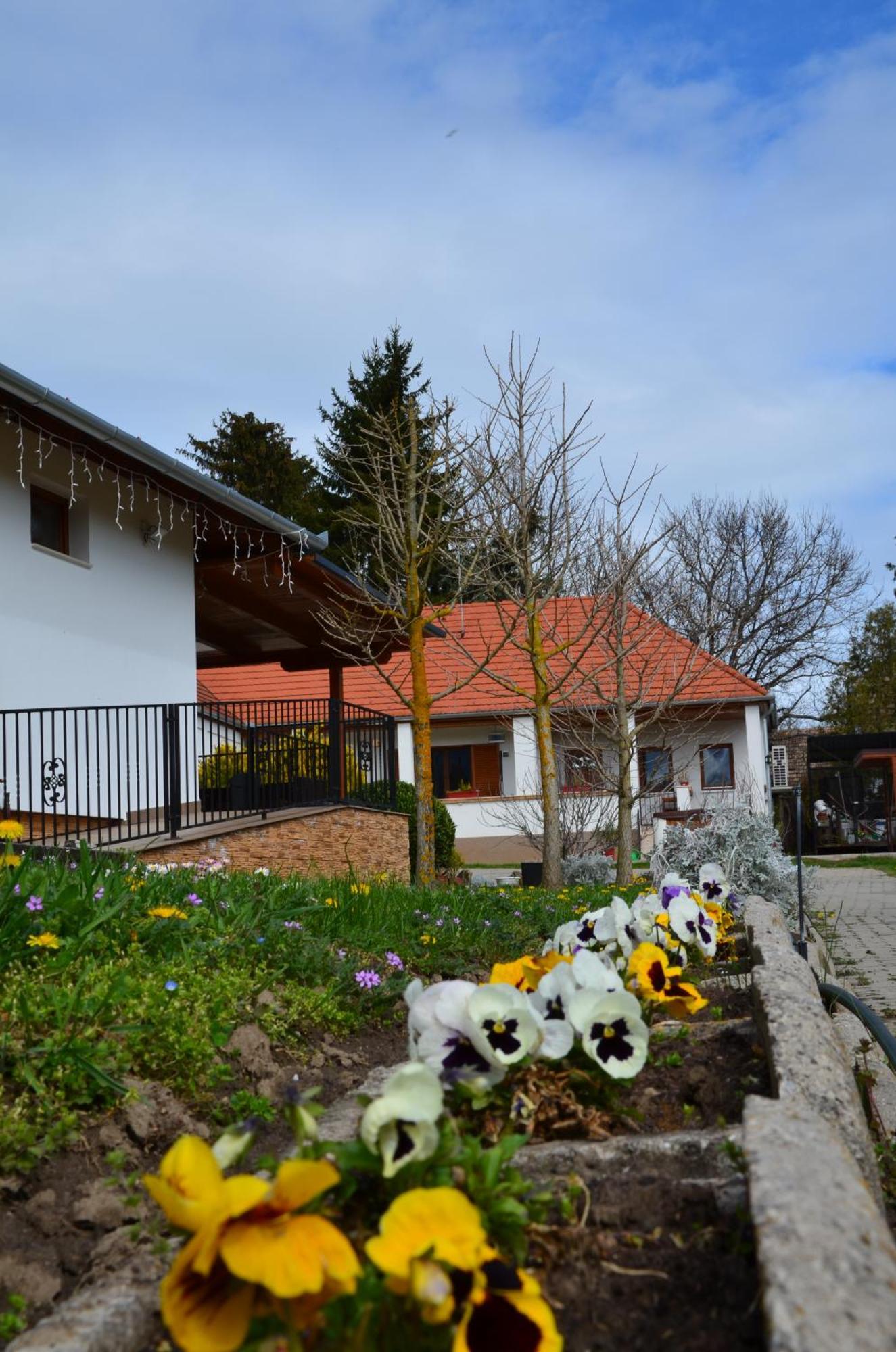 Hotel Kerekerdo Vendeghaz Kisszékely Exterior foto